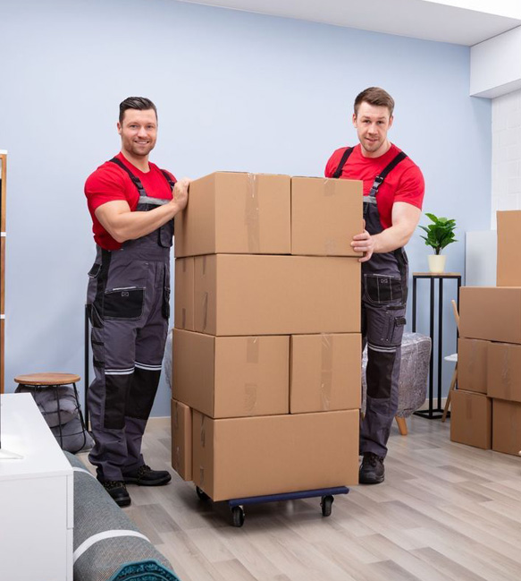 packers movers services in noida